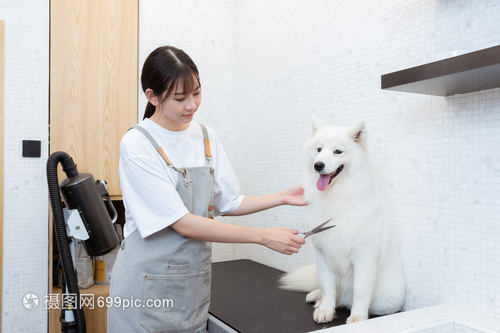 以太坊钱包苹果版